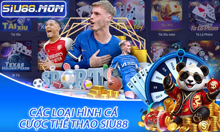 Các loại hình cá cược thể thao SIU88