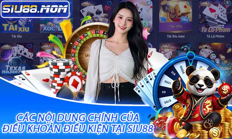 Các nội dung chính của điều khoản điều kiện tại SIU88