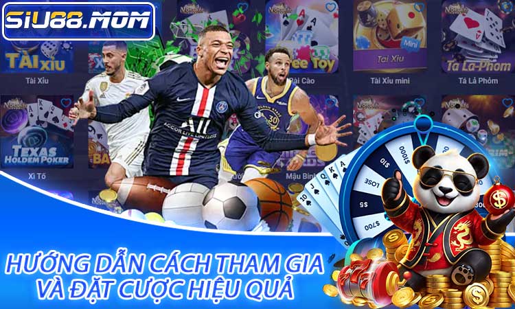 Hướng dẫn cách tham gia và đặt cược hiệu quả