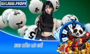 Soi Cầu Lô Đề